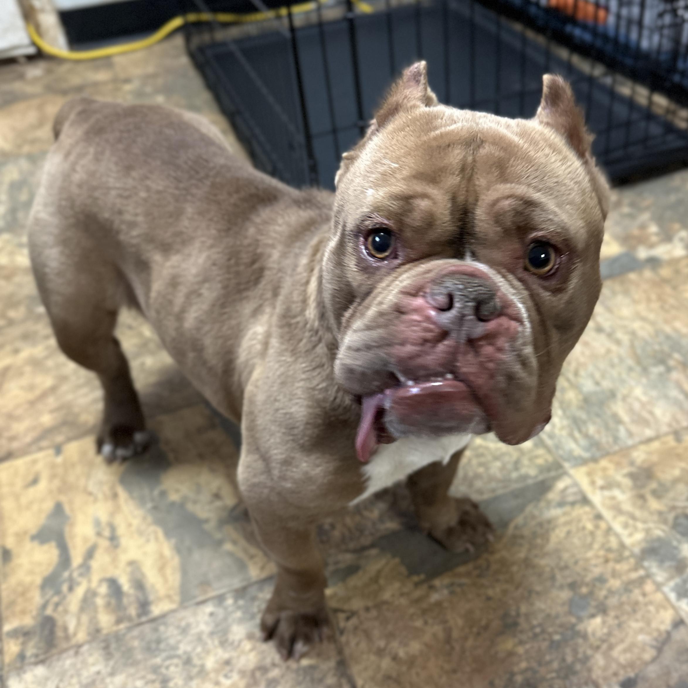 Babas — thumbnail 5