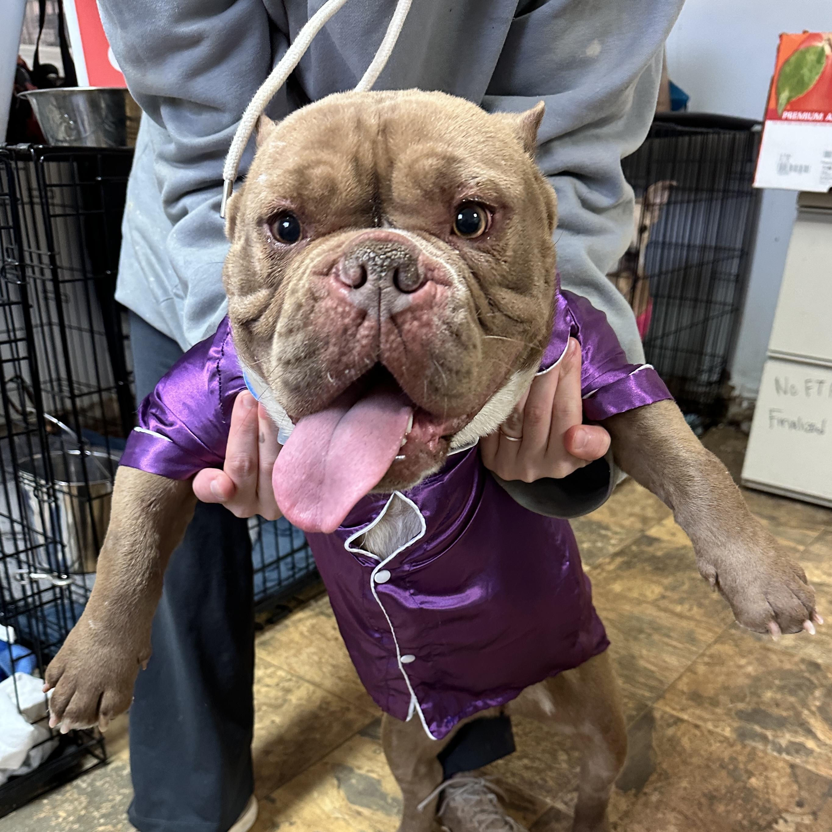 Babas — thumbnail 6