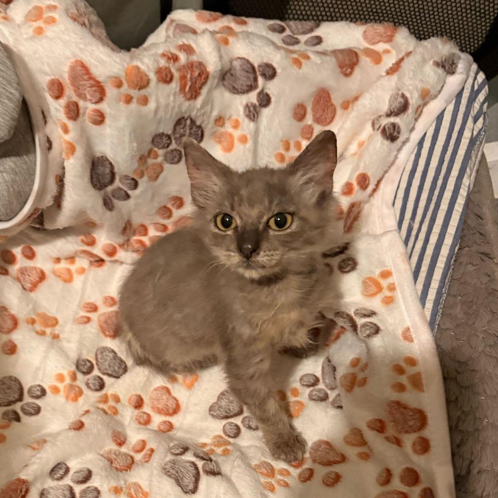 Georgina — thumbnail 2