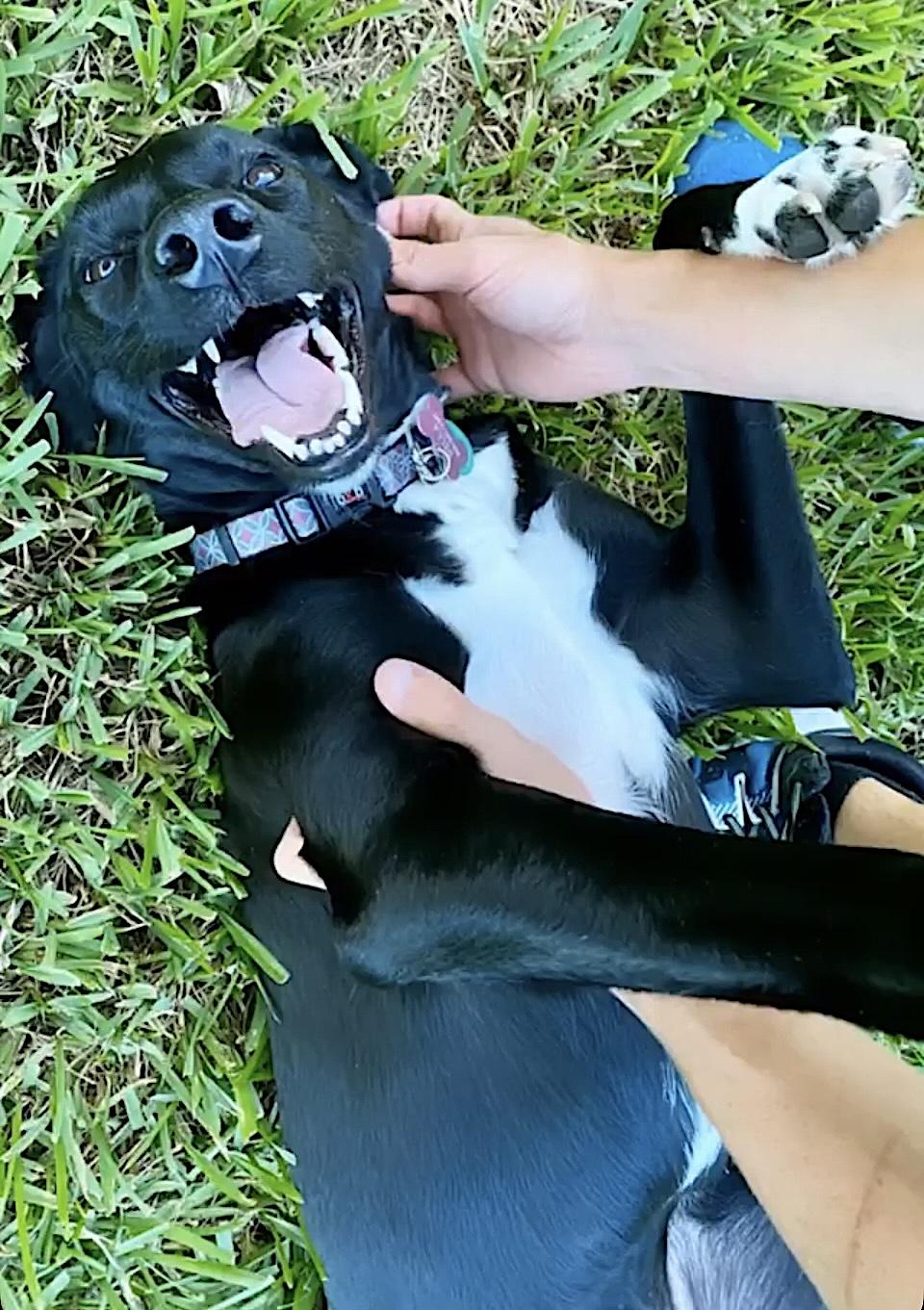 Bella photo 3