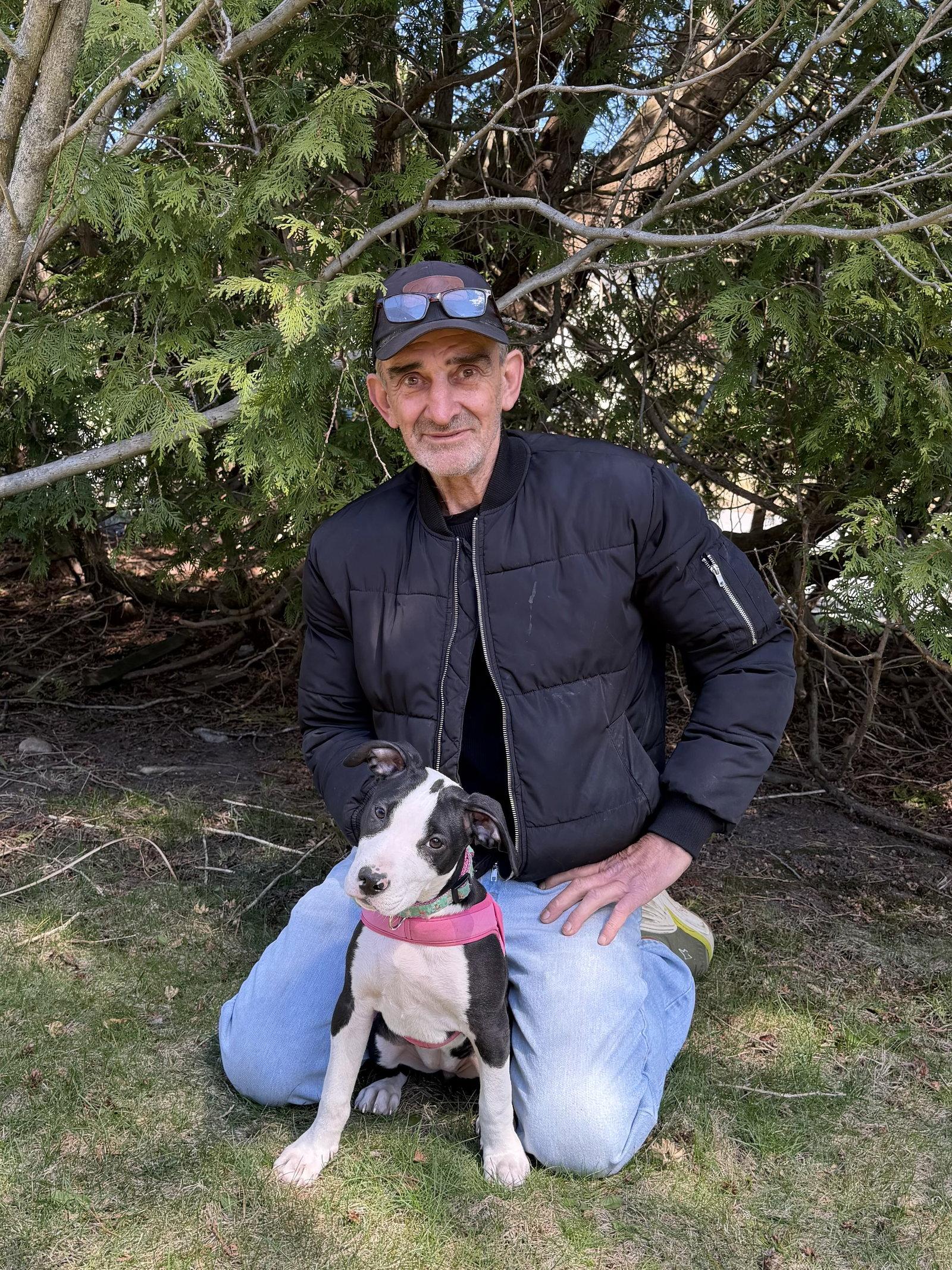 Enlarge Ellie, a Adopted Pit Bull Terrier in Framingham, MA image 1/3