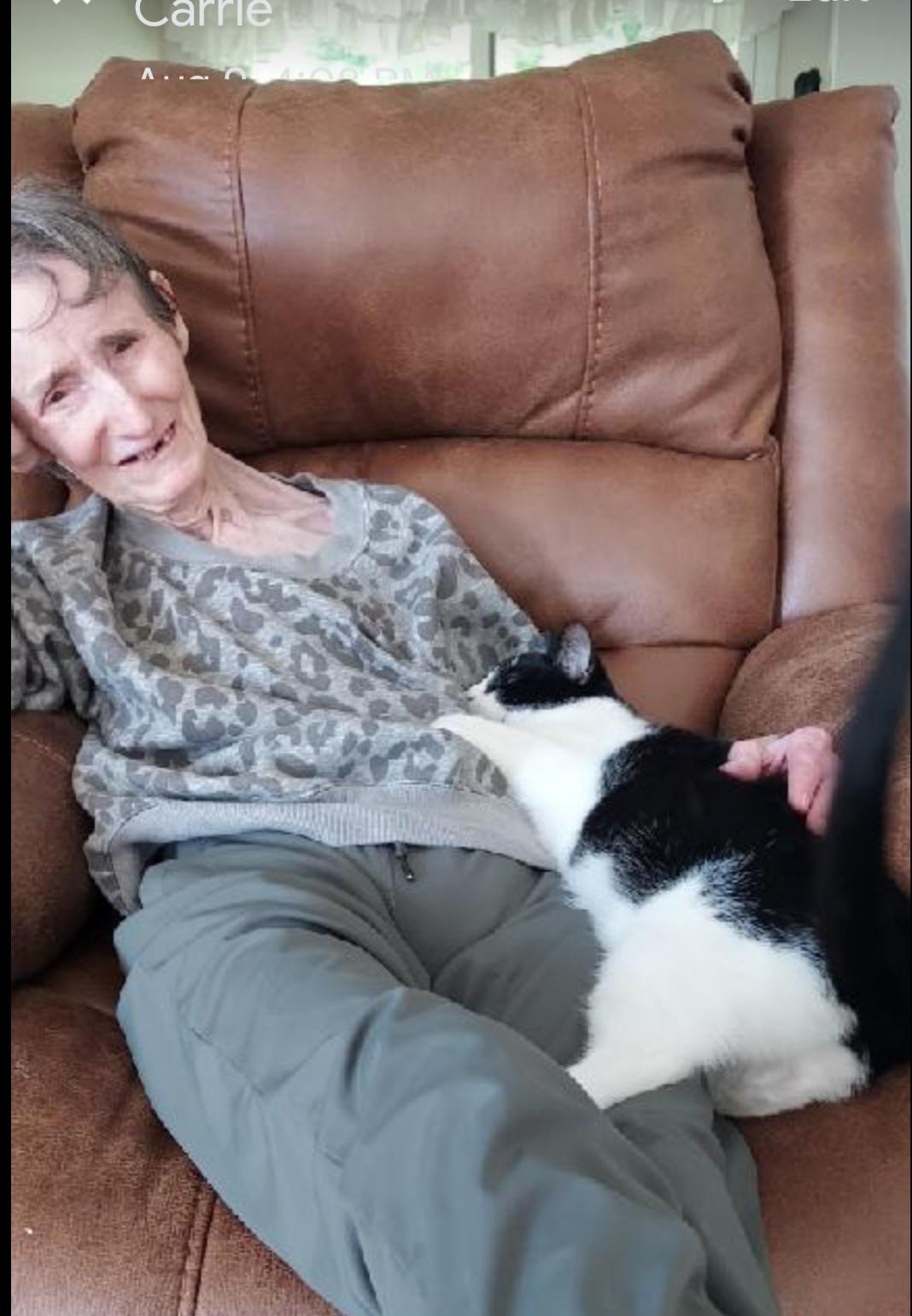 Enlarge Betsy, a Adopted mixed breed in Huntsburg, OH image 1/1