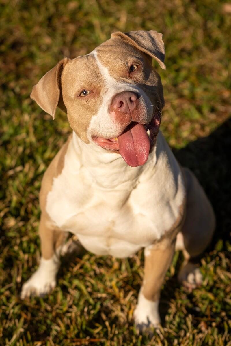 Zoey Playful Easy Going Gal — thumbnail 2