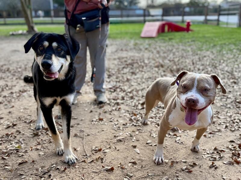 Zoey Playful Easy Going Gal — thumbnail 5