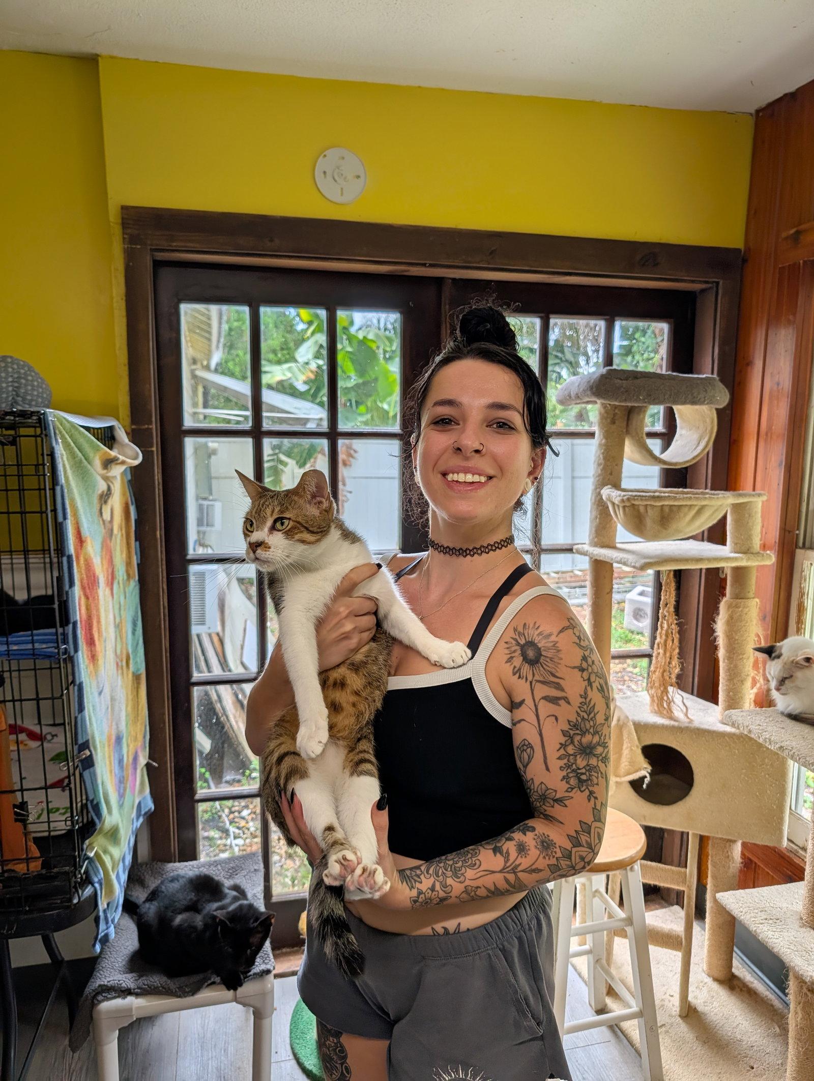 Enlarge Nathan, a Adopted Domestic Short Hair in Pompano Beach, FL image 1/1