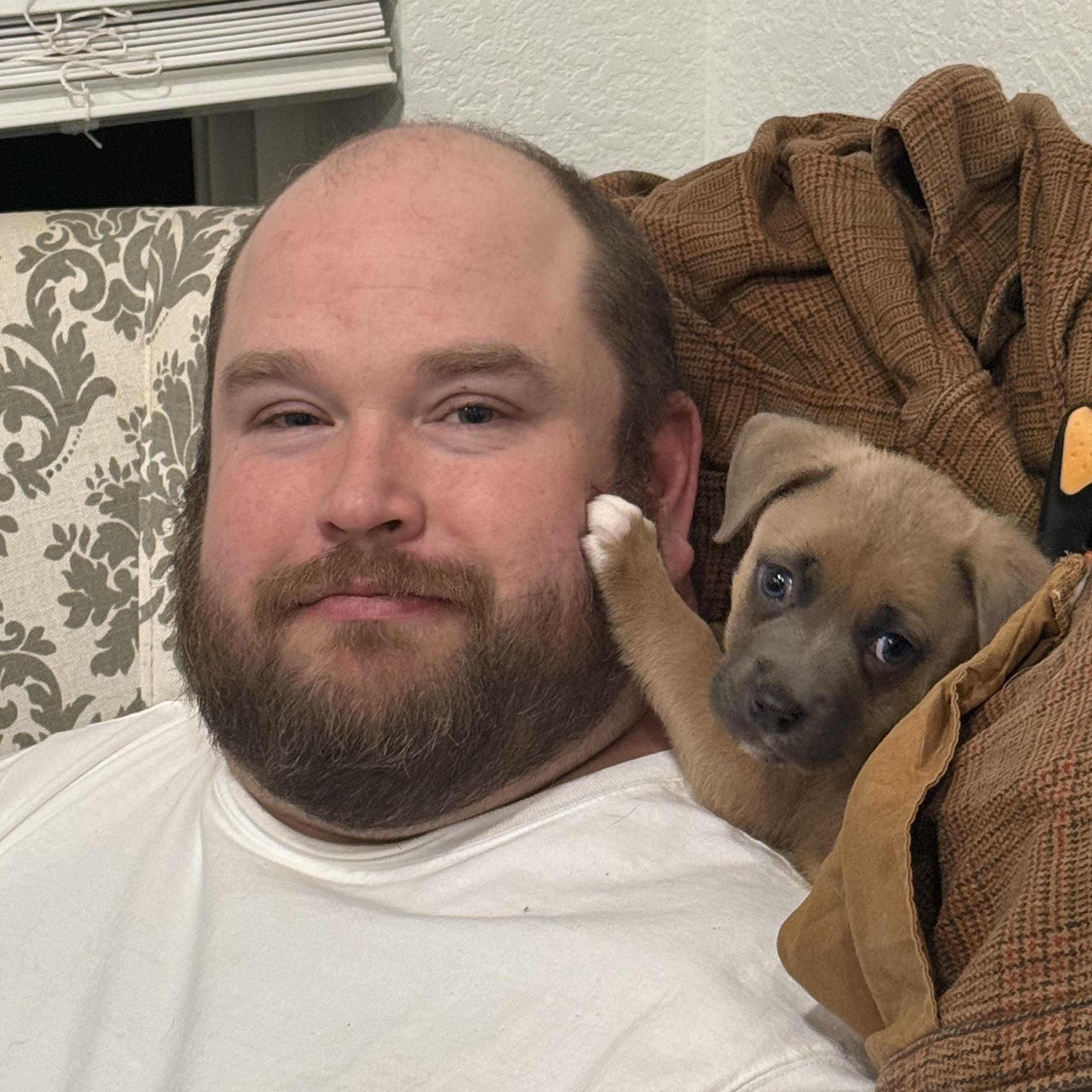 Moose, ADOPTABLE, Puppy Male Pit Bull Terrier.