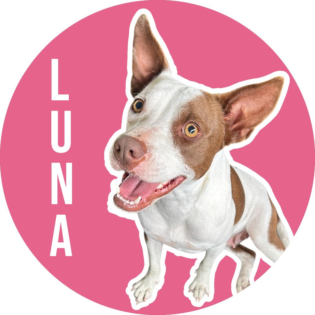 Luna