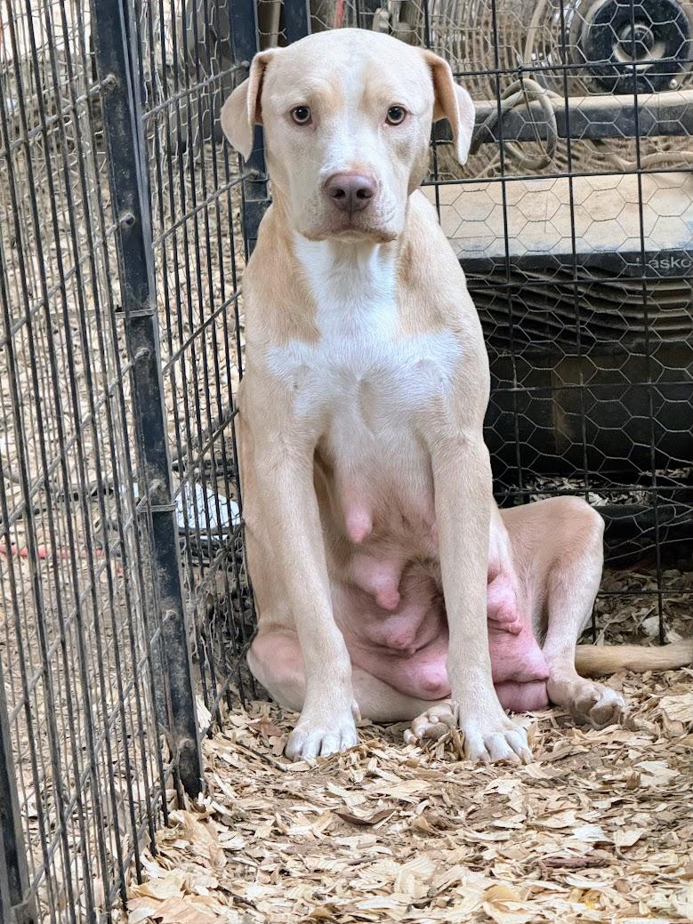 ROXY JO — thumbnail 3