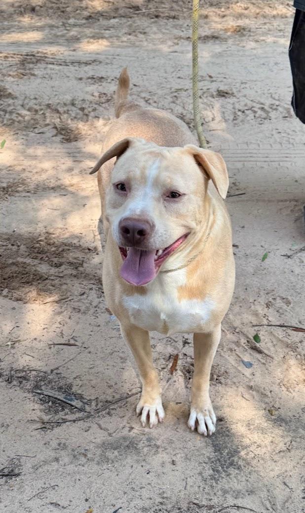 ROXY JO — thumbnail 4