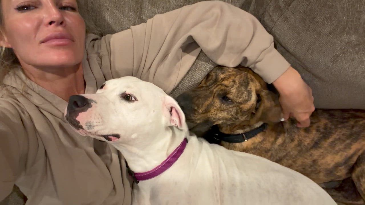 Enlarge Amora, a ADOPTABLE Mixed Breed in Saratoga Springs, NY video 3/5