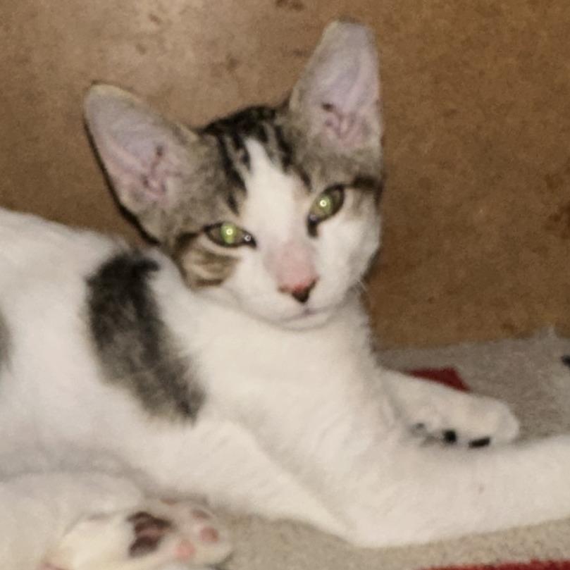 Give Me Love thumbnail 2