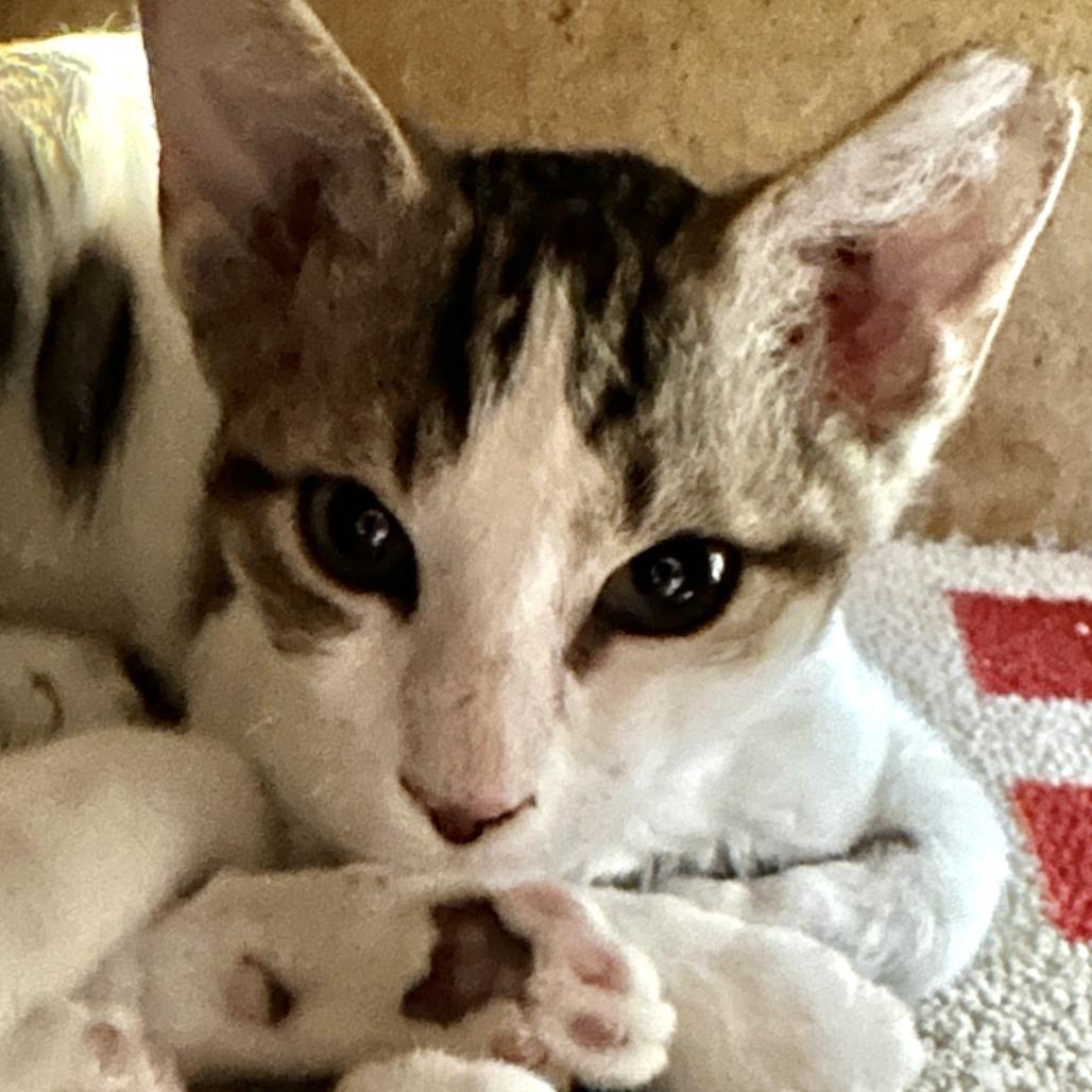 Give Me Love thumbnail 3