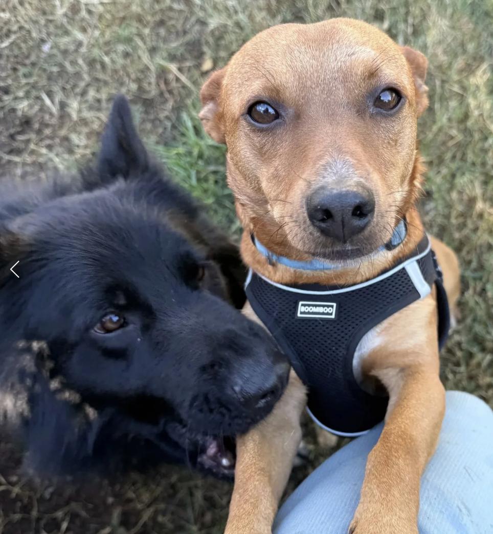 Kenji & Ryu