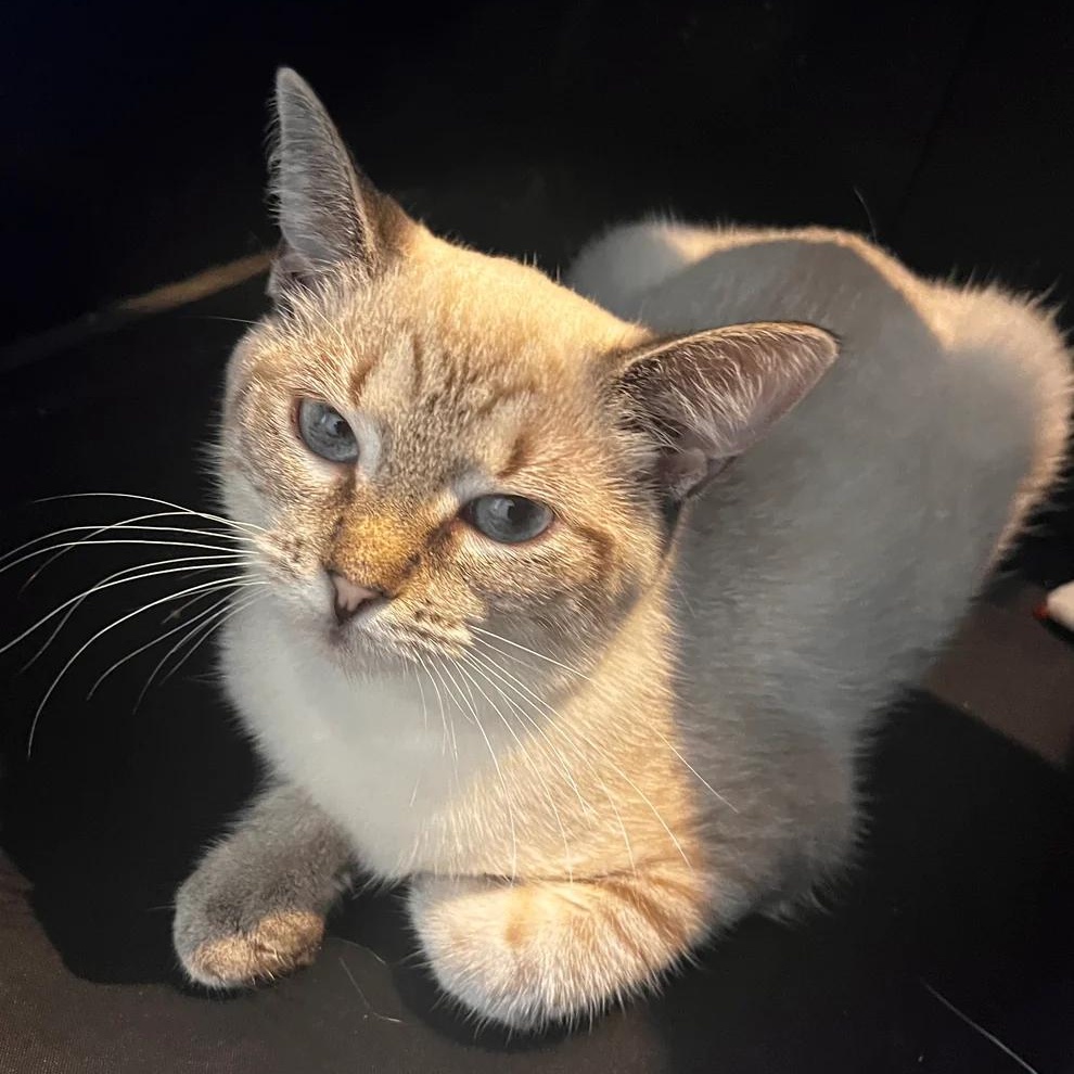 John Entwistle thumbnail 2