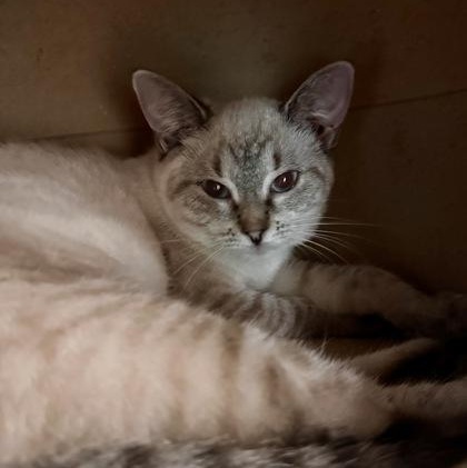 John Entwistle thumbnail 3