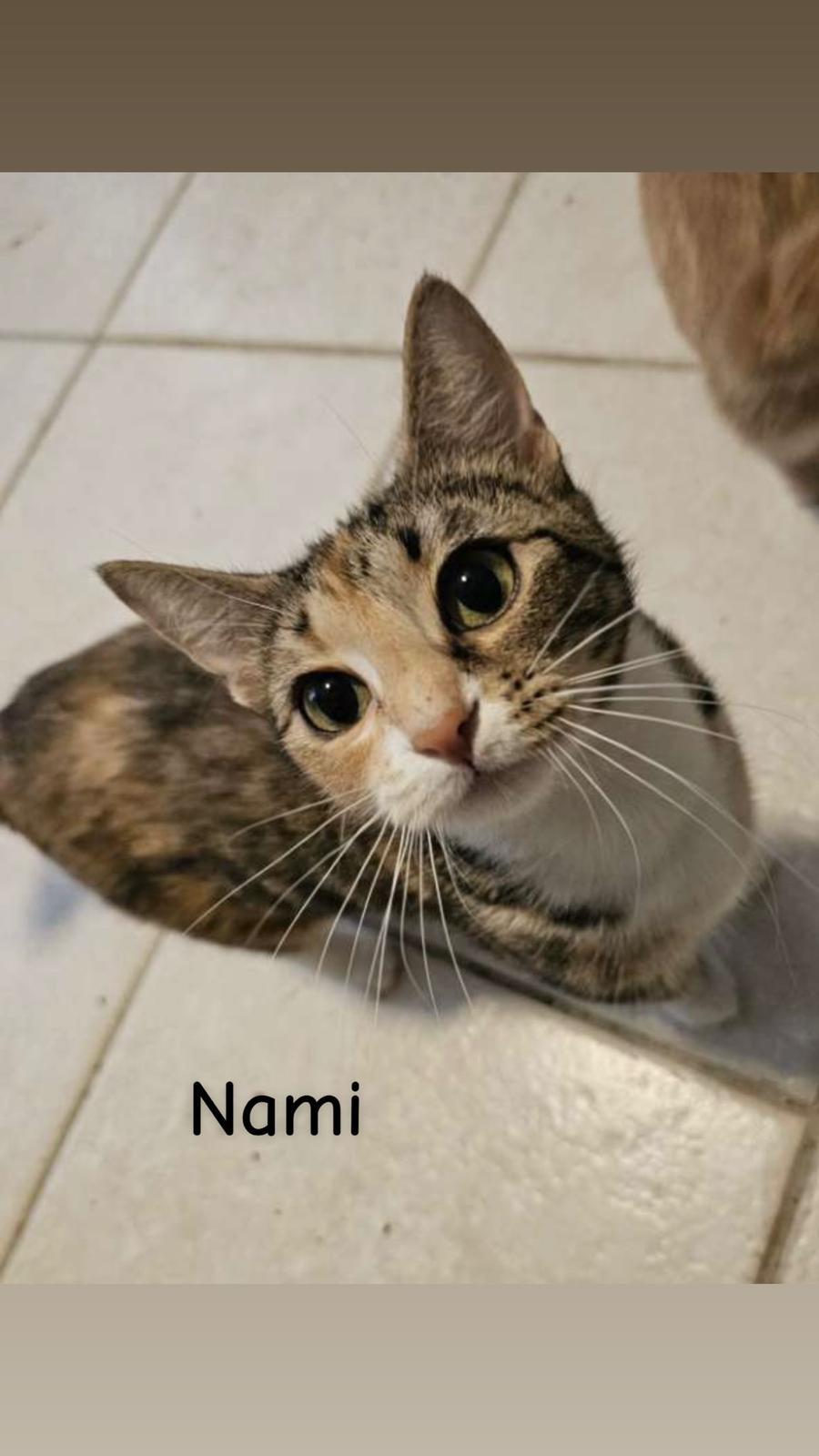 Nami — thumbnail 3