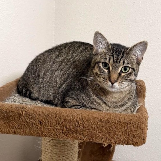 Tiger Gonzalez — thumbnail 2