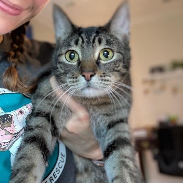 Tiger Gonzalez — thumbnail 5