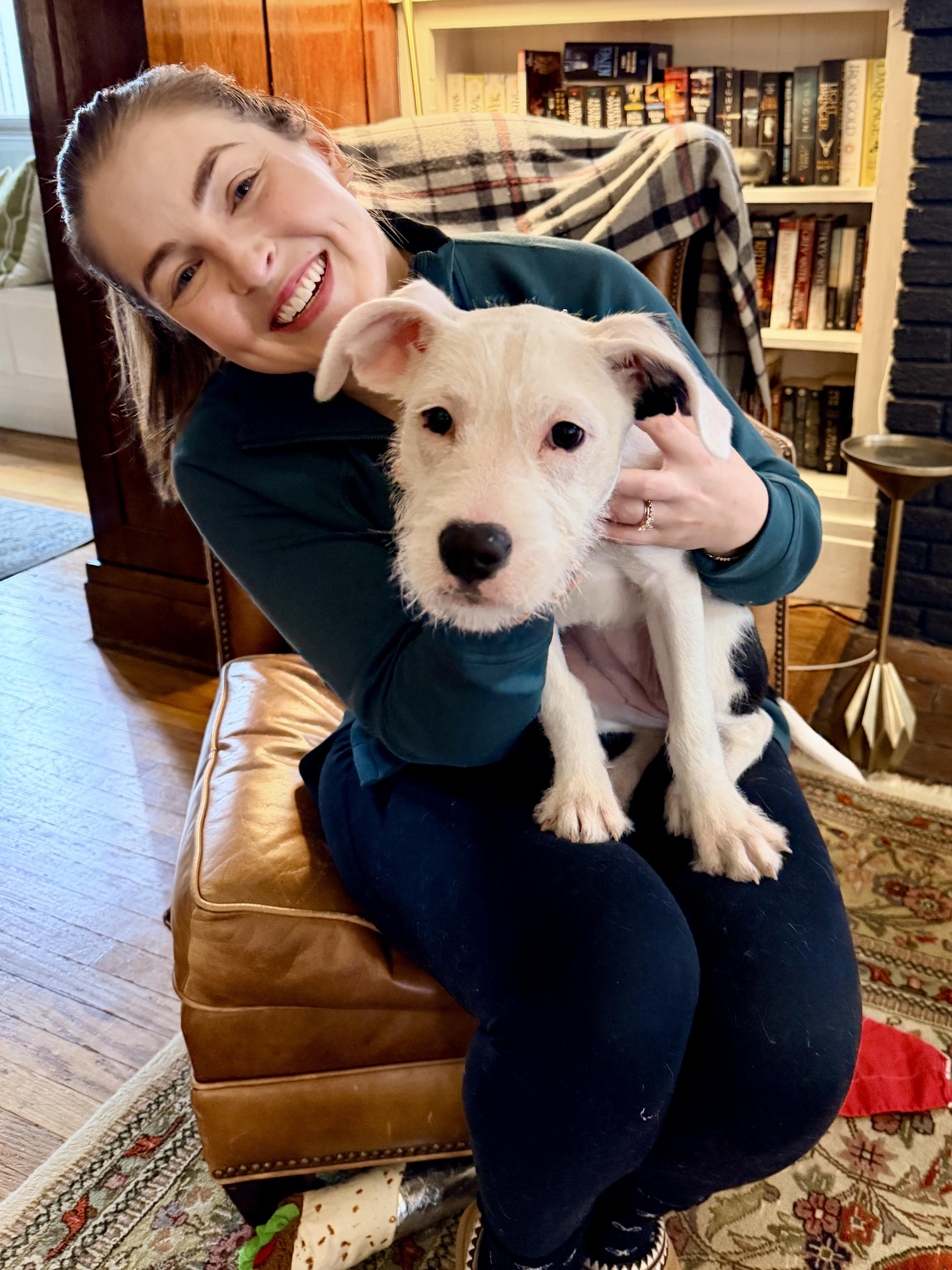 Enlarge Rosie, an adopted mixed breed in Buffalo, NY image 3/5