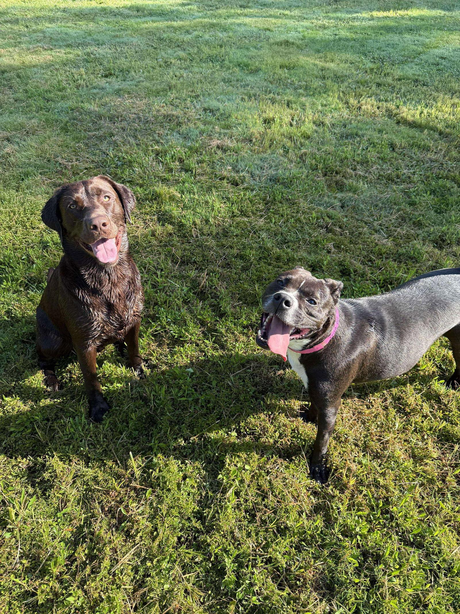 Leila Ali thumbnail 2