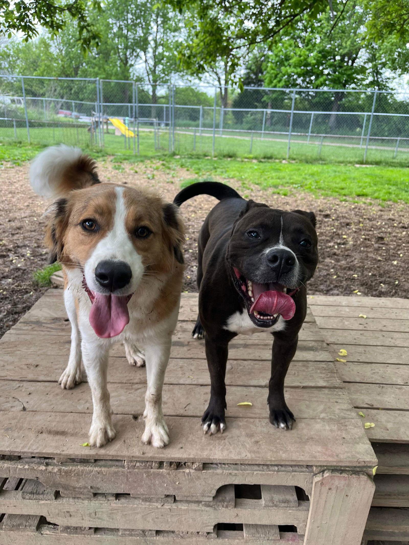 Leila Ali — thumbnail 2