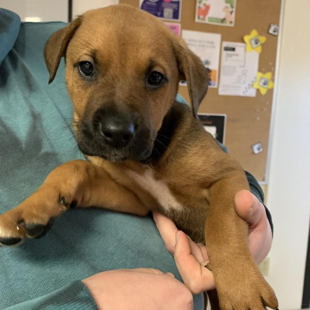 Solo — thumbnail 2