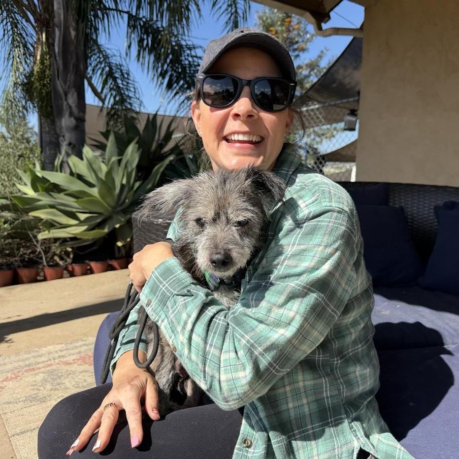 Enlarge Dunkin, a Adoptable Cairn Terrier in Ramona, CA image 2/6