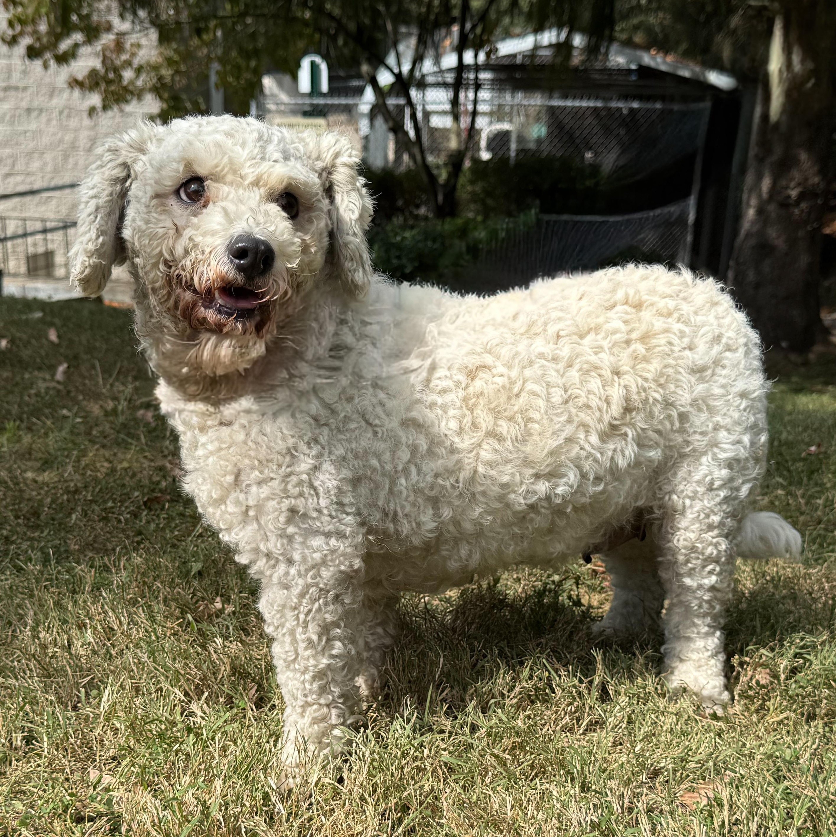 Villanova thumbnail 2