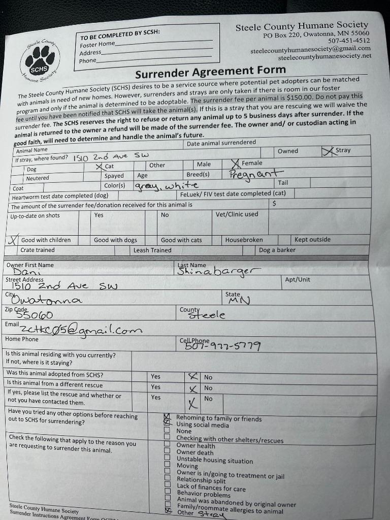 Enlarge Sage, a Adoptable mixed breed in Owatonna, MN image 3/6