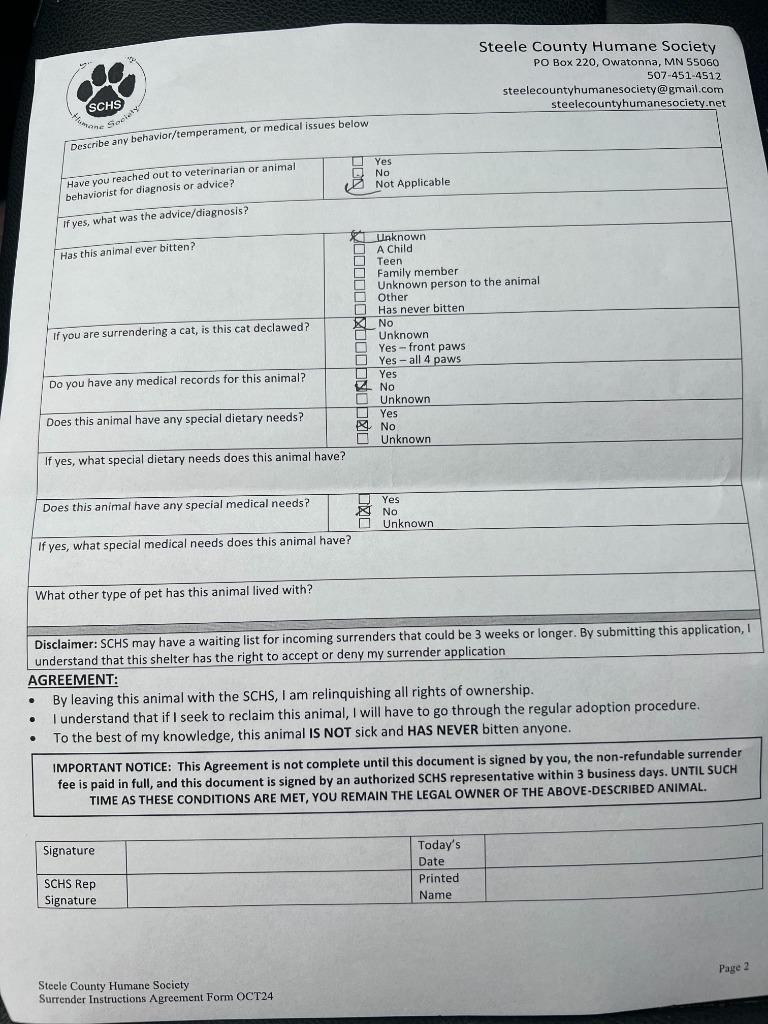 Enlarge Sage, a Adoptable mixed breed in Owatonna, MN image 6/6