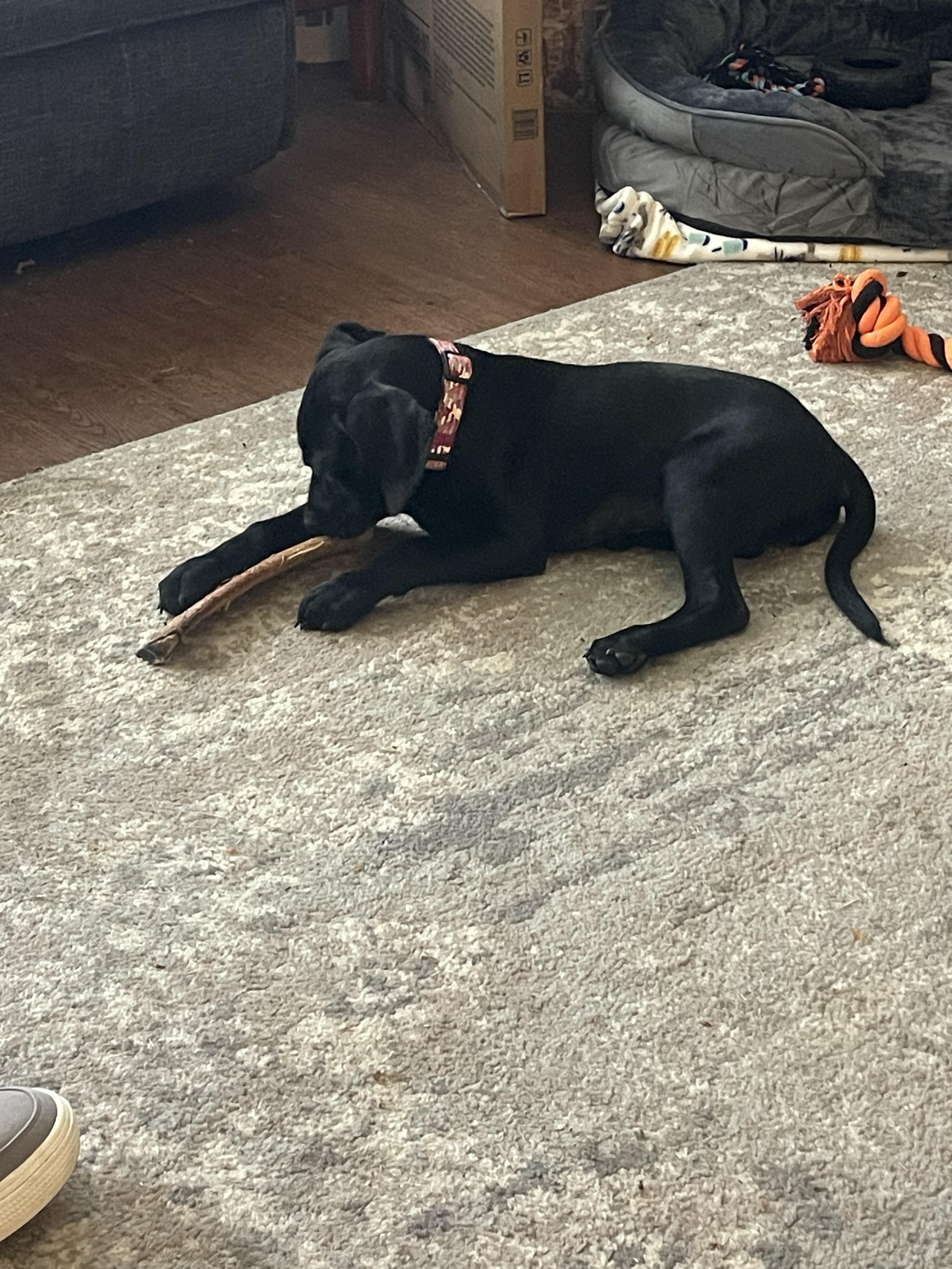 Kimber