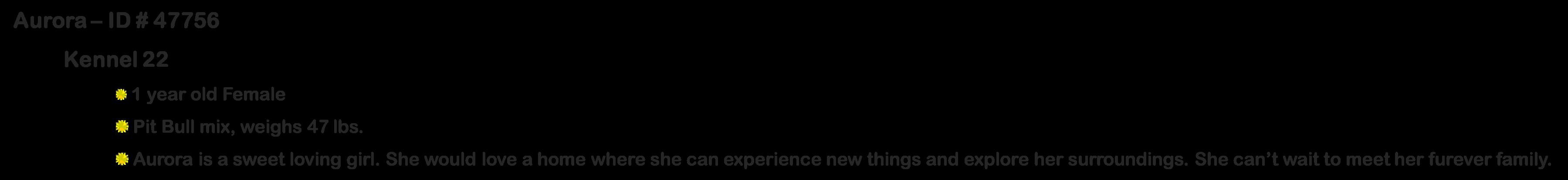 Enlarge Diamond, a ADOPTABLE mixed breed in Suffolk, VA image 1/5