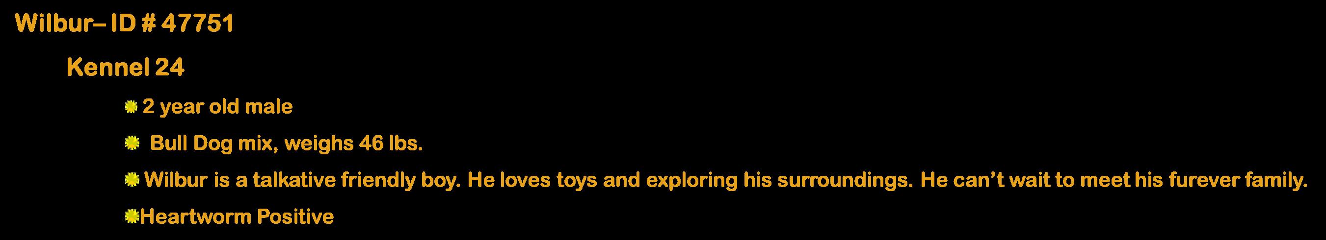 Enlarge Diamond, a ADOPTABLE mixed breed in Suffolk, VA image 3/5