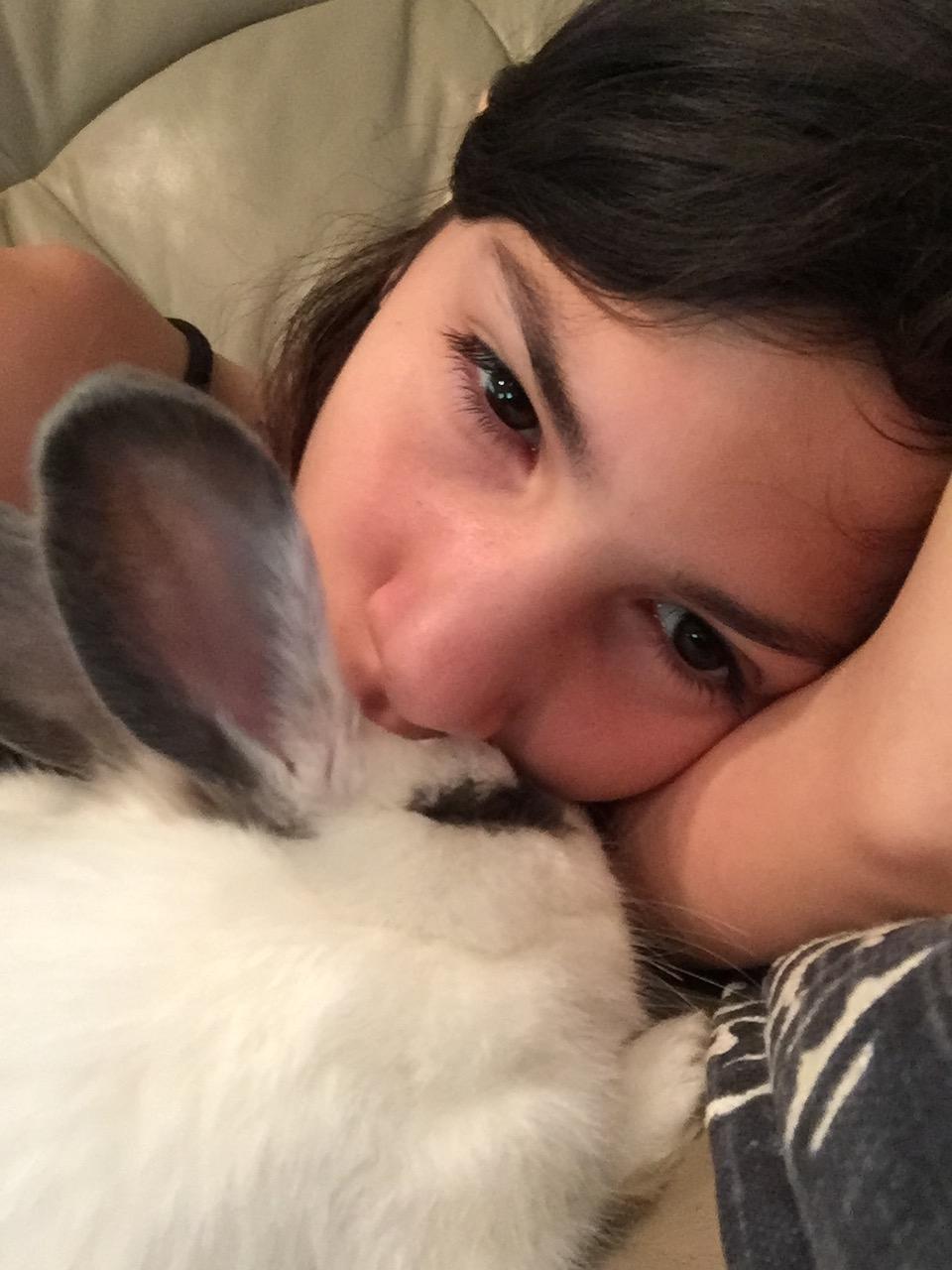 Deja*, a Adoptable mixed breed in Cockeysville, MD image 1/5