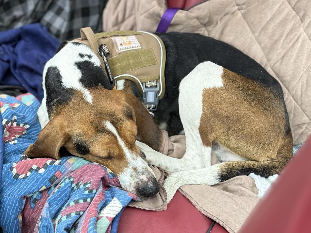 Max Walker thumbnail 2