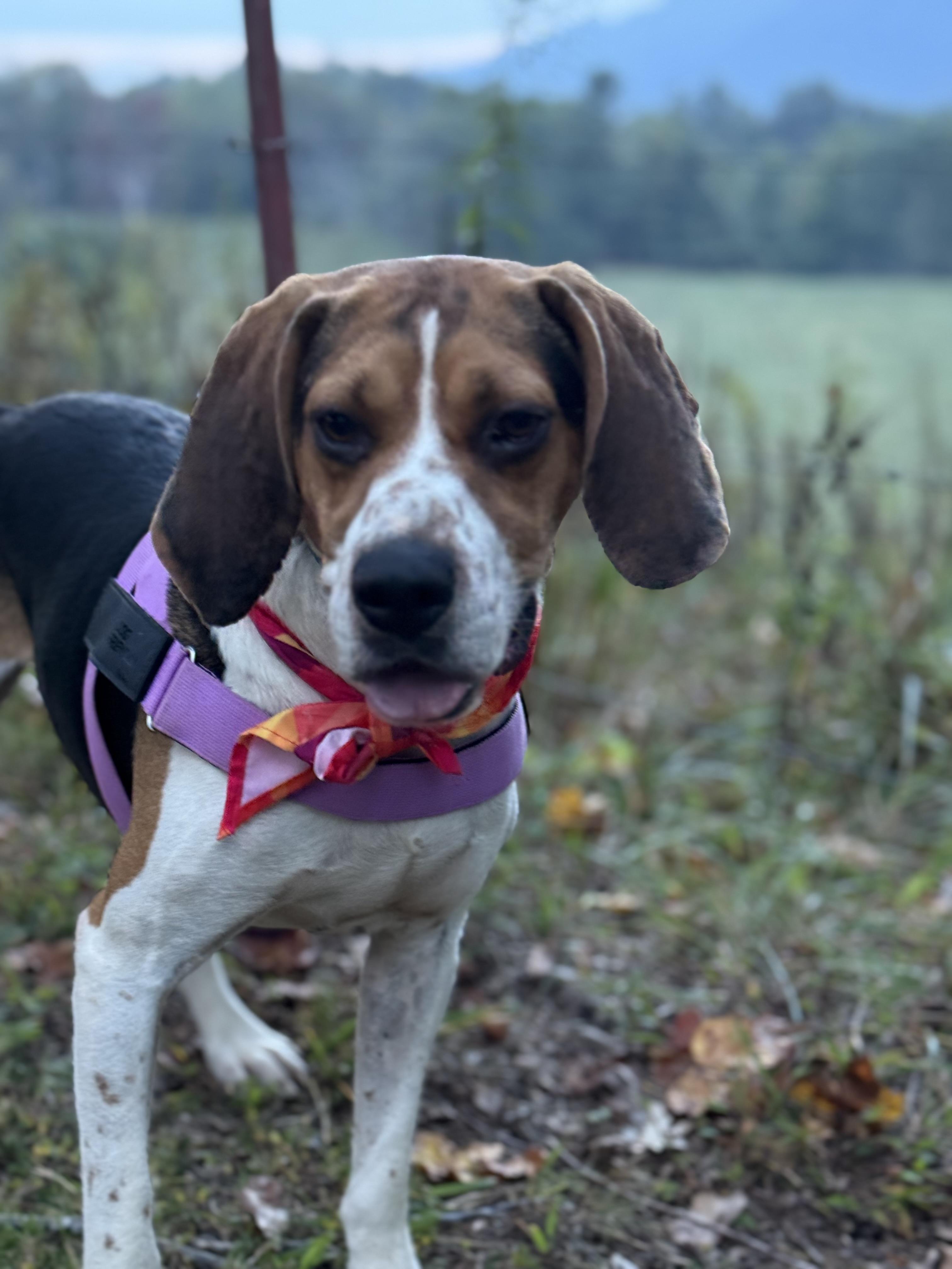 Max Walker thumbnail 4