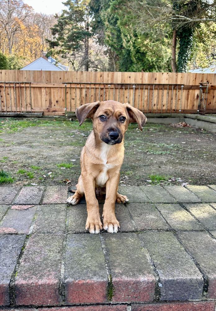 Hercules thumbnail 2