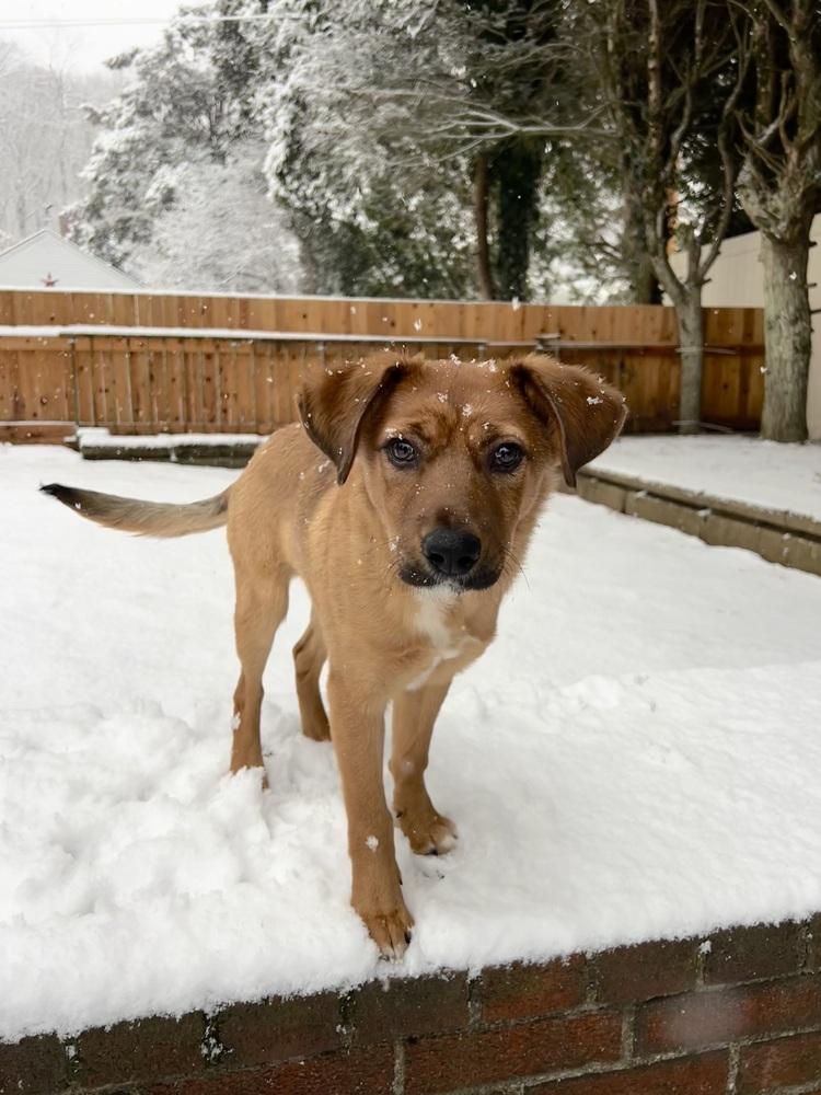 Hercules thumbnail 4