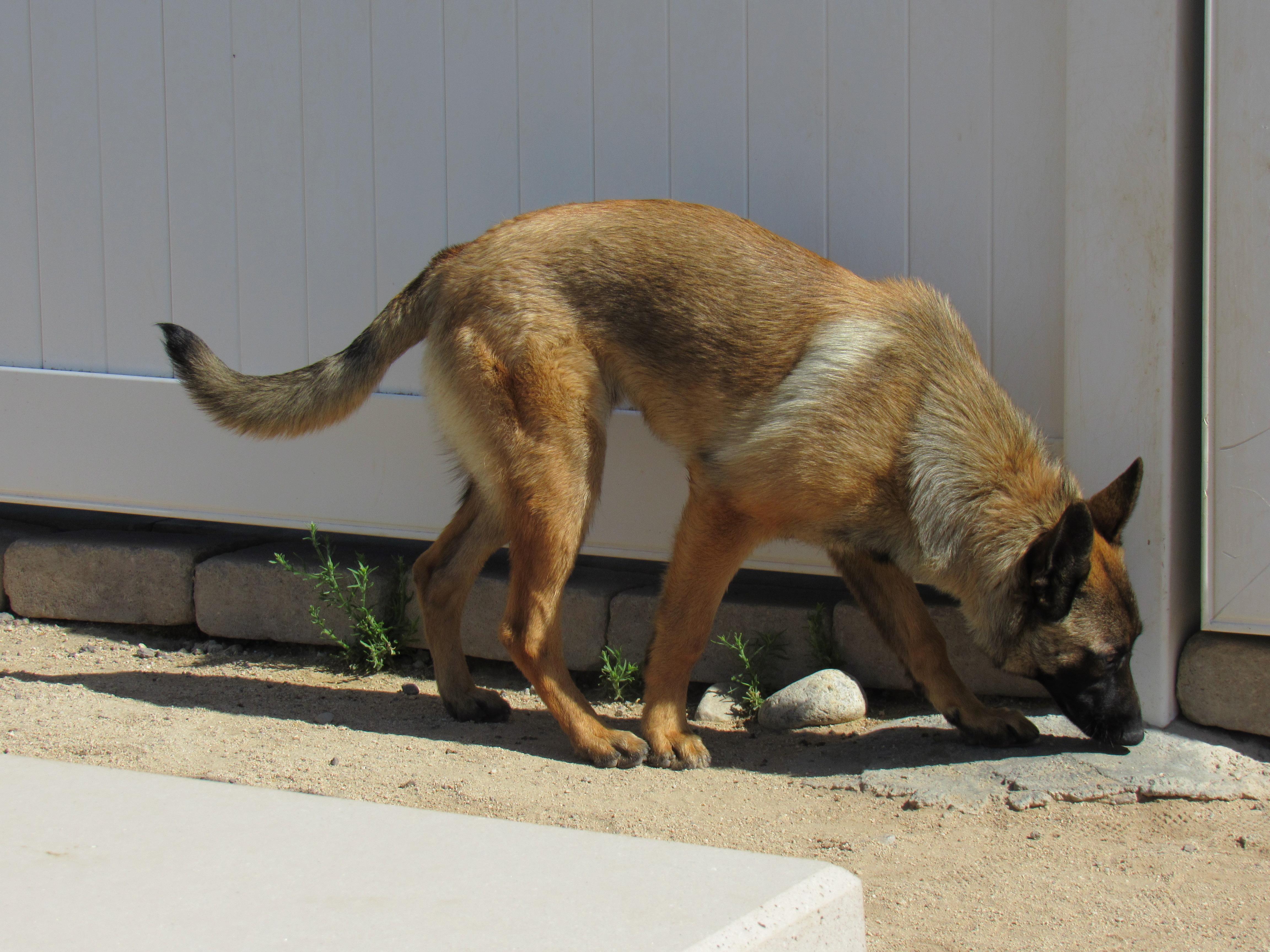 Benicio photo 2