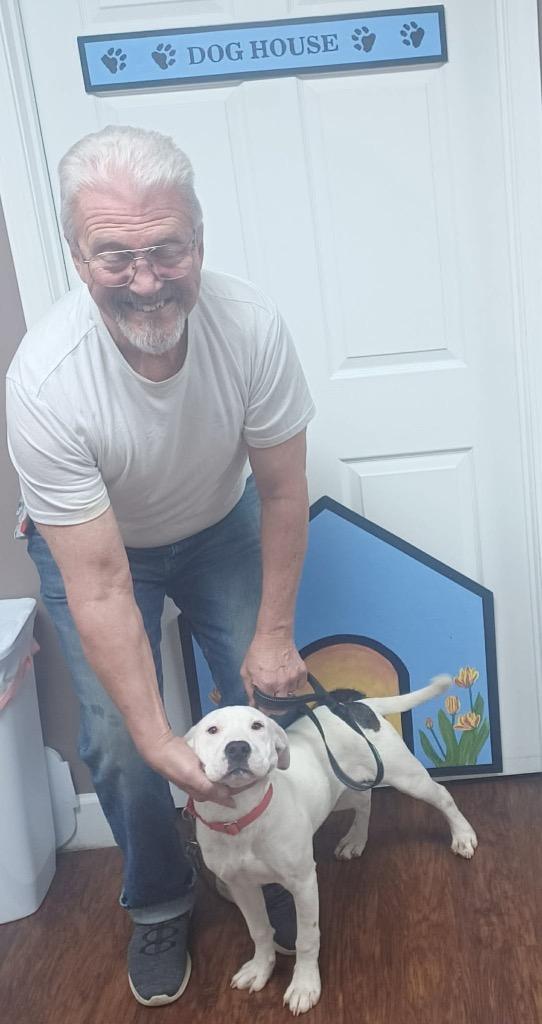 Baboo now Bootsy, a Adopted Staffordshire Bull Terrier in Crossville, TN image 2/6