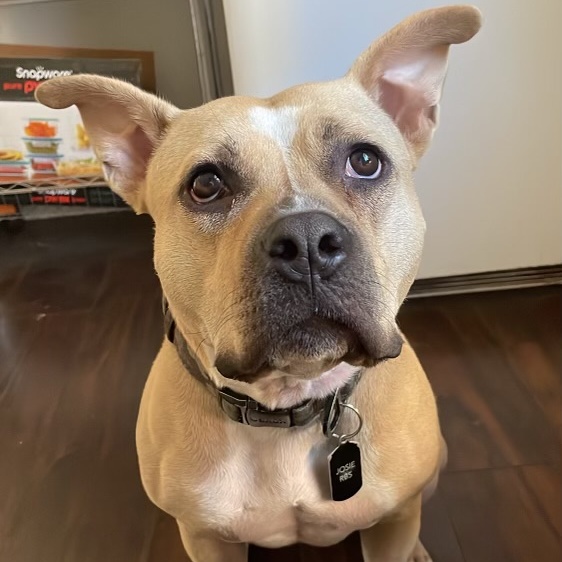 Josie