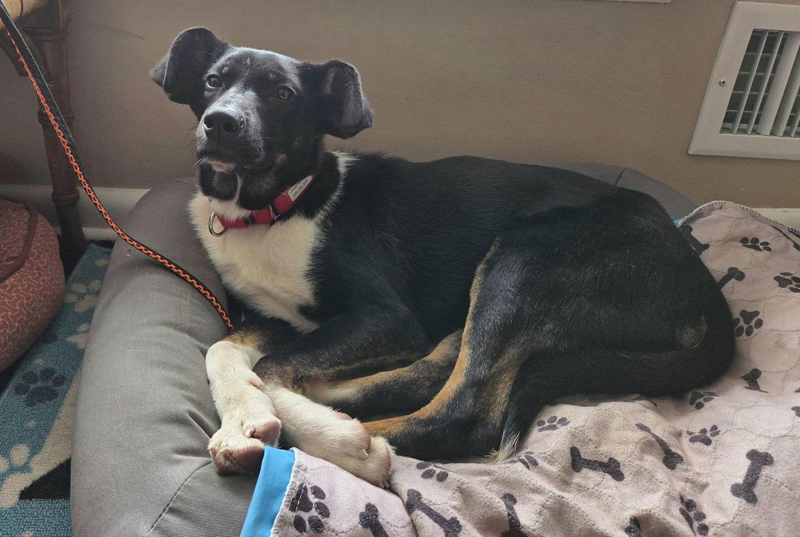 Lorelei - super model in the making — thumbnail 3