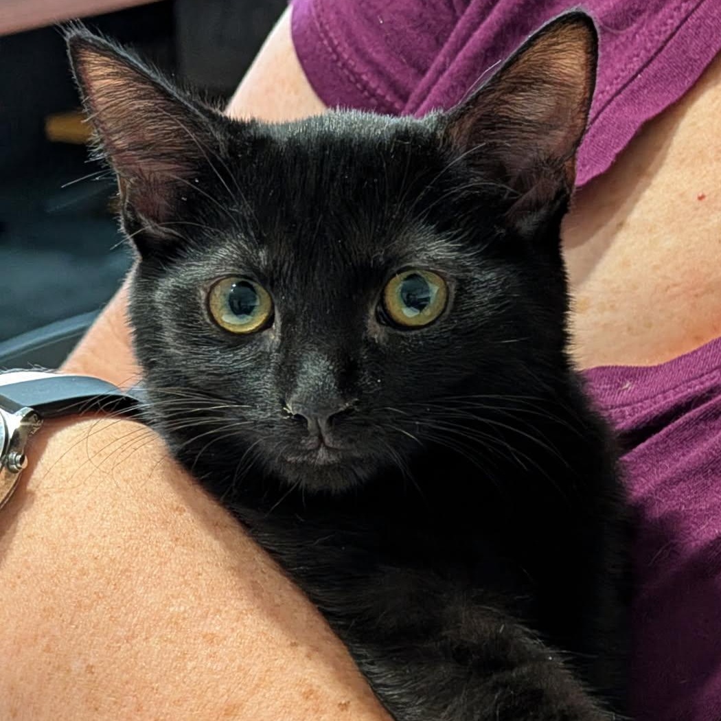 Bonnie (bonded to Clyde)