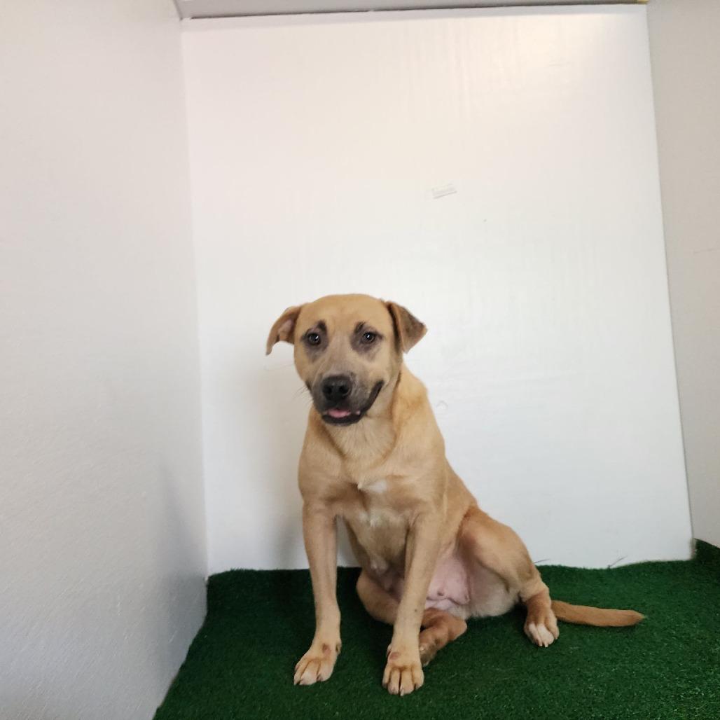 Mildred — thumbnail 2