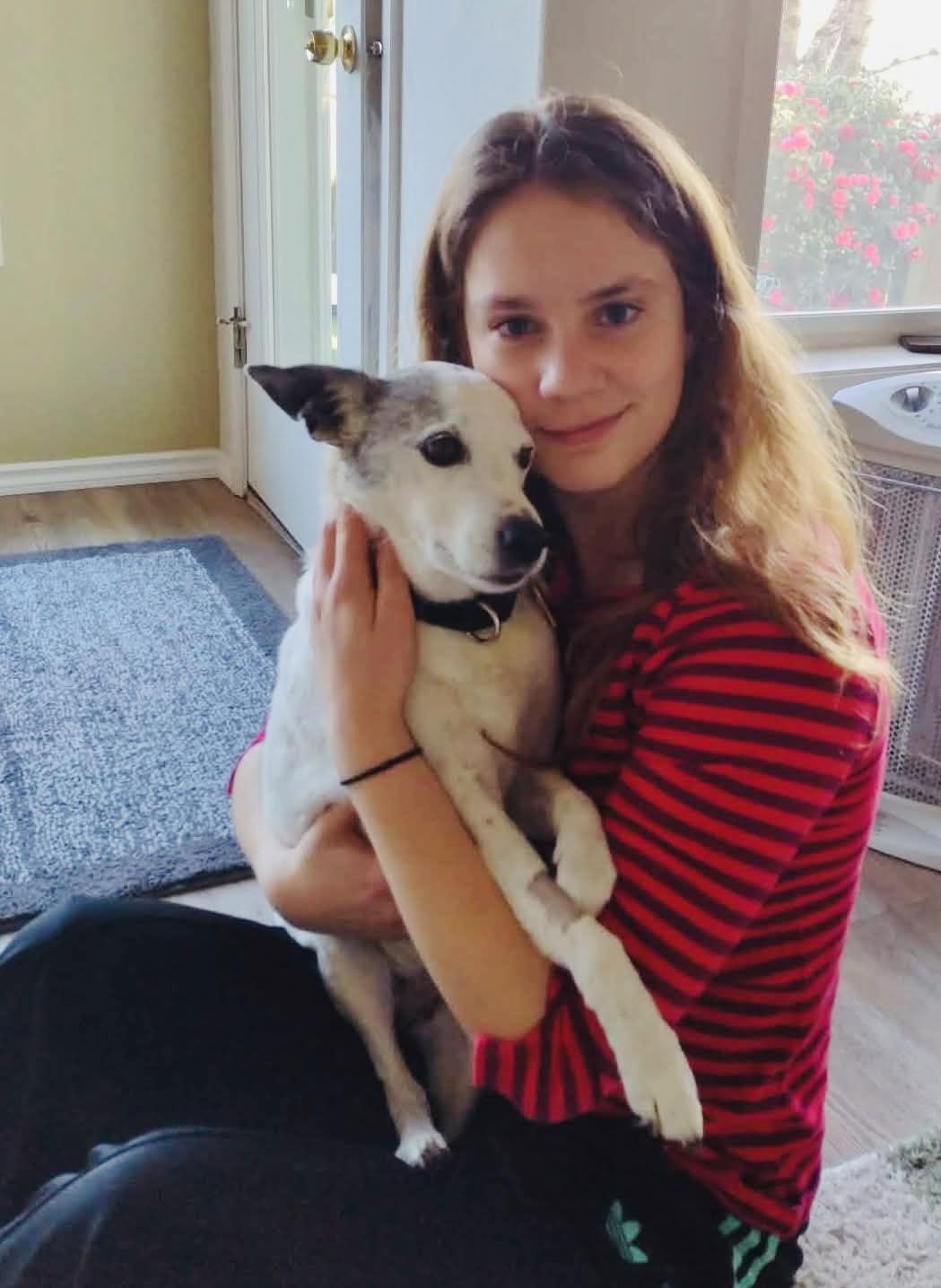 Enlarge Nanny, a ADOPTABLE Jack Russell Terrier in Beavercreek, OR image 3/6