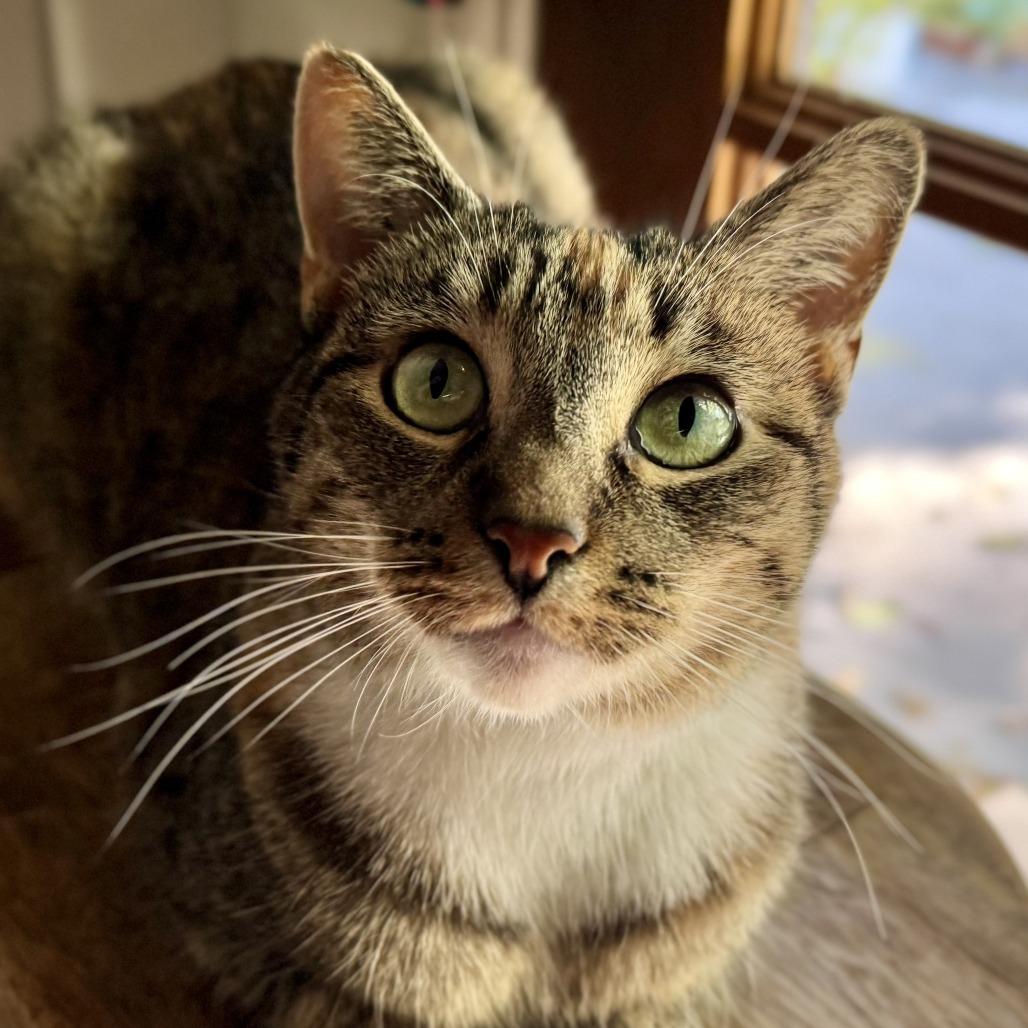 Missy — thumbnail 2