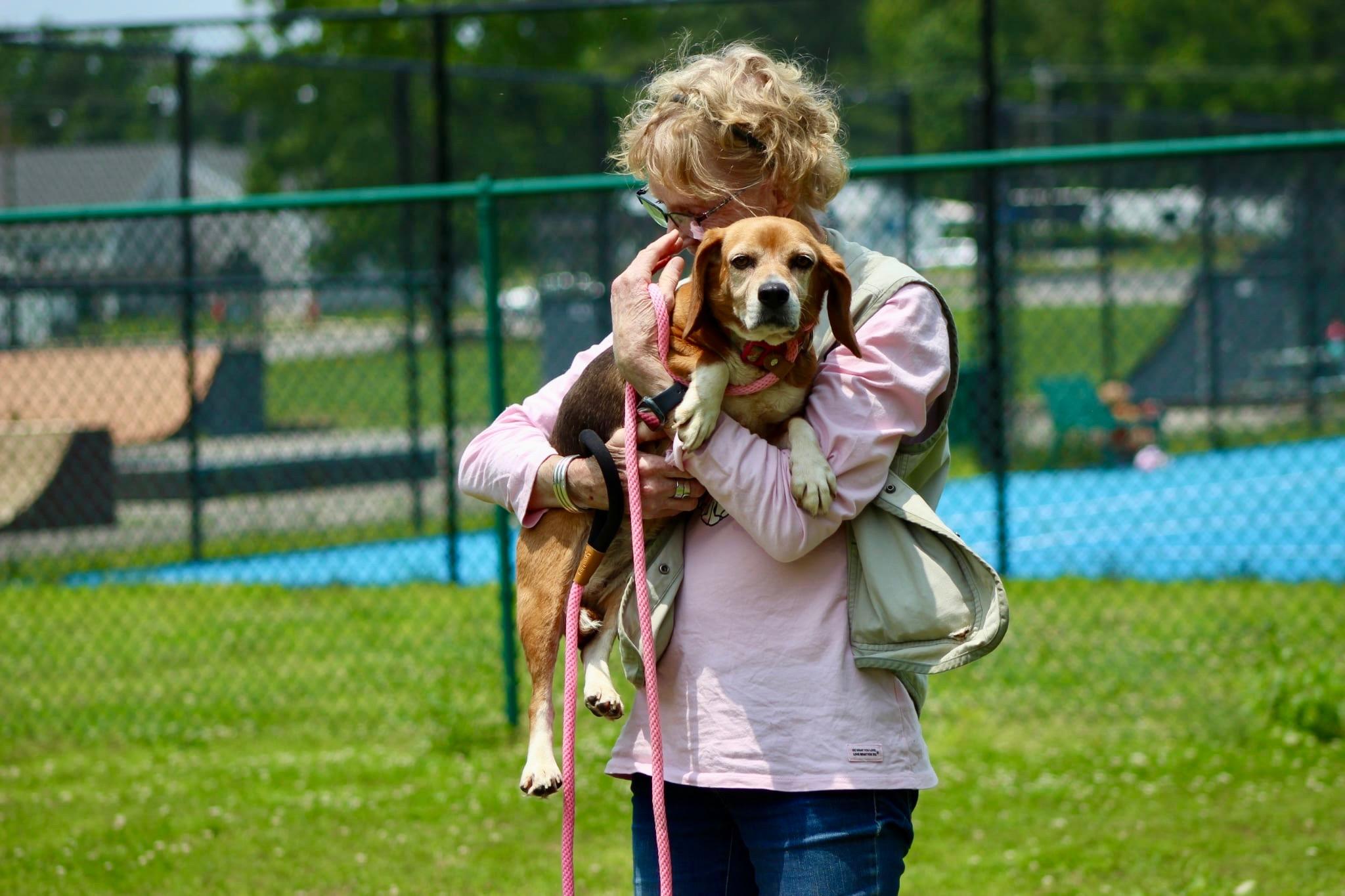 Macy, a Adoptable Beagle in Saluda, VA image 2/3