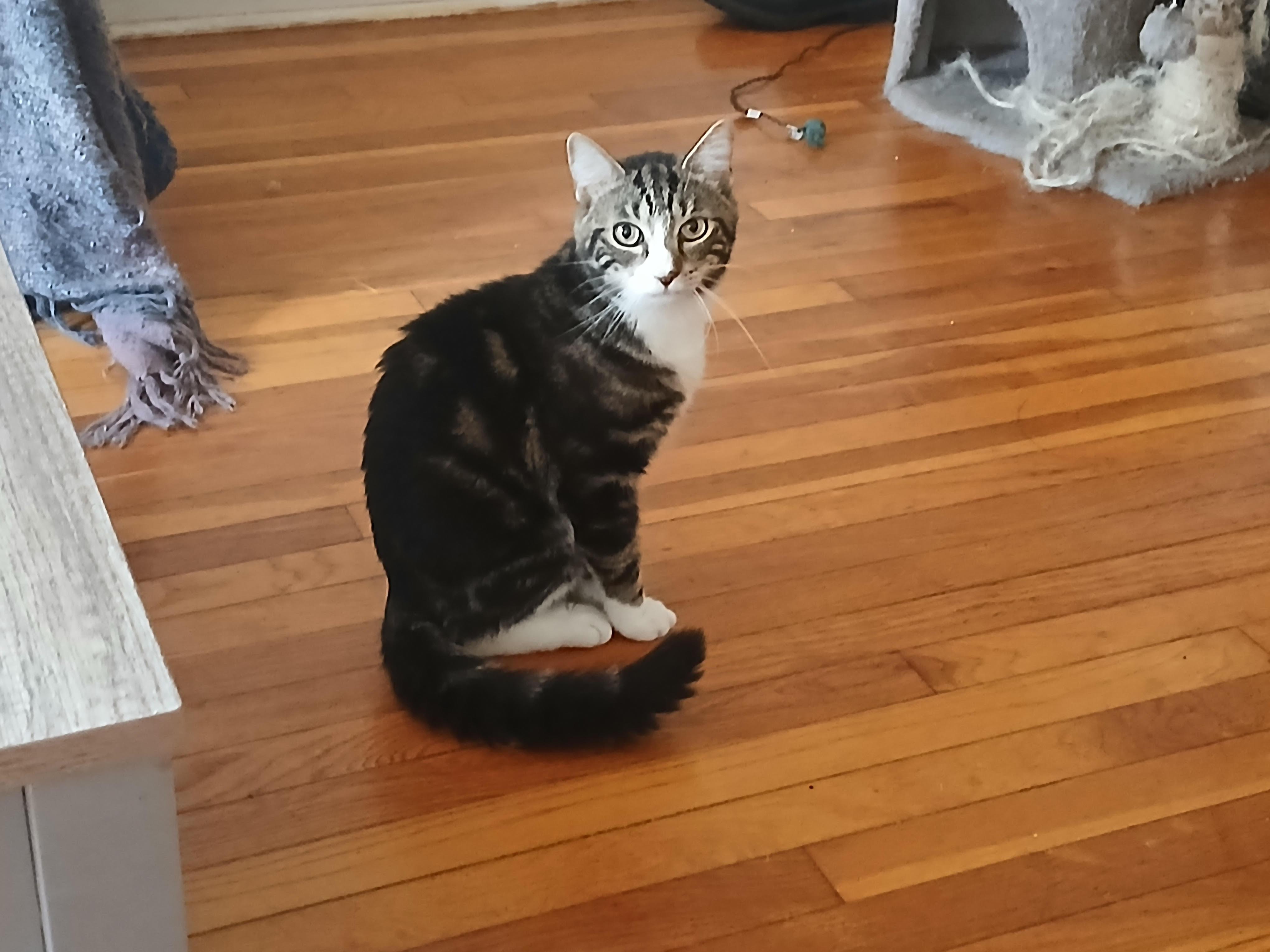 Twin *foster needed*