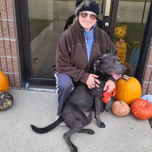 Enlarge Juice, a Adoptable Staffordshire Bull Terrier in Chilton, WI image 6/6