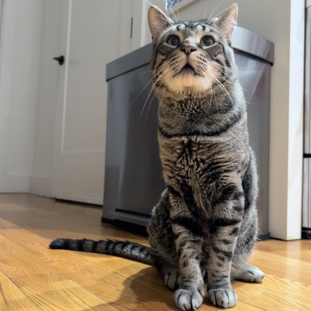 Tate — thumbnail 4